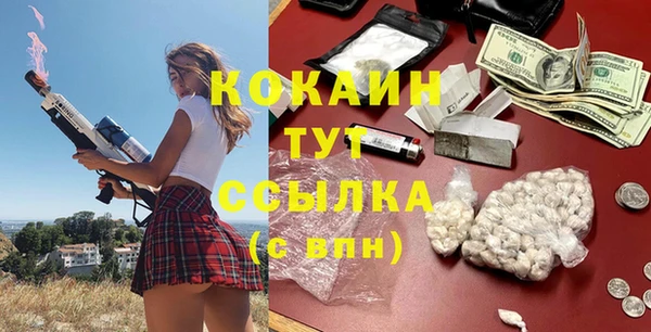 дурь Алексин