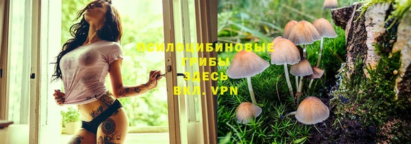дурь Алексин