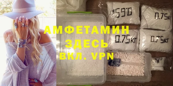 твердый Алзамай