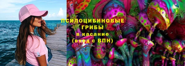 дурь Алексин