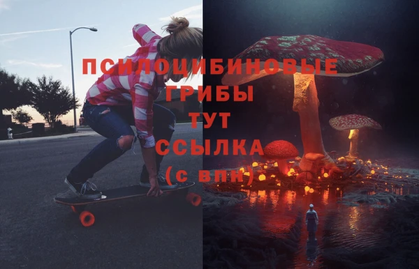твердый Алзамай