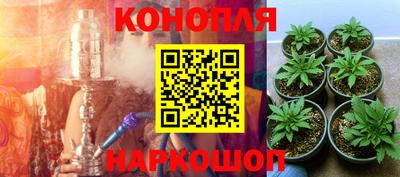 трава Краснодар