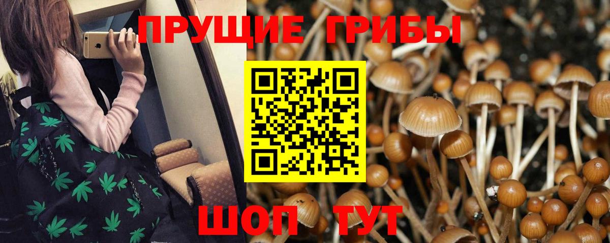 Галлюциногенные грибы Psilocybine cubensis  Вход с VPN  Дедовск 