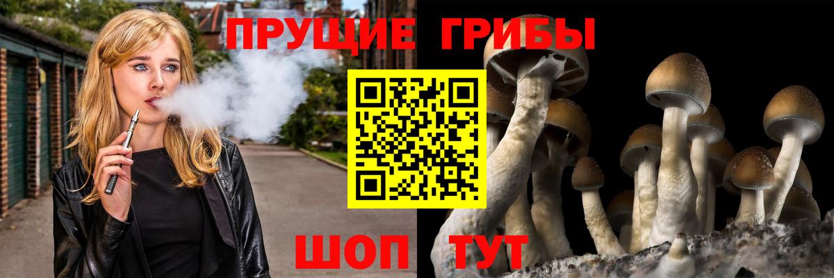 Псилоцибиновые грибы GOLDEN TEACHER Дедовск