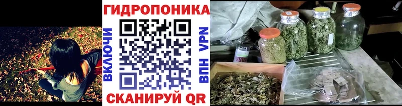 нарко площадка Telegram  блэк спрут tor  Дедовск  Бошки Шишки AK-47 