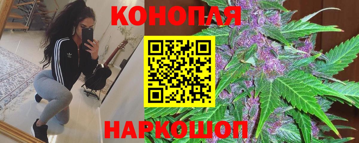 Бошки Шишки MAZAR Дедовск